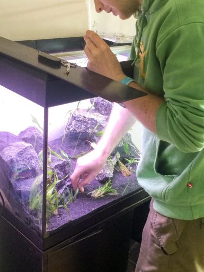 22657188_10159520031535596_207020592_n