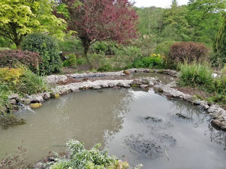 ecosystem pond with stream