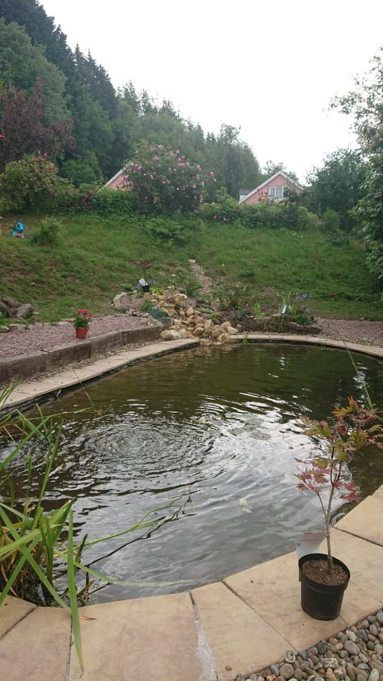 WhatsApp Image 2019-10-30 at 15.17.11 (3)